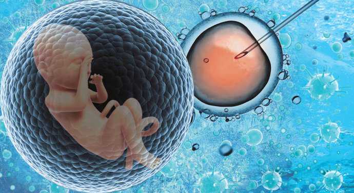 生男宝宝怎么备孕成功率高？怎样科学备孕？
